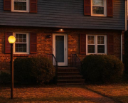 CE QUE JE VOULAIS DIRE