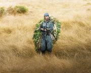 Onoda, 10 000 nuits dans la jungle (Arthur Harari, 2021)