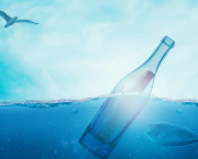 BOUTEILLE   A  LA  MER