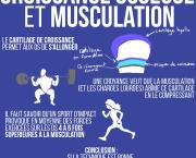 Croissance osseuse et musculation