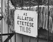 Az utolsó