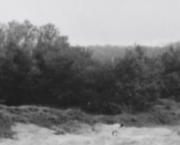 Chemin des communs