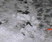 Enquête sur l'abominable assassinat d'un petit bonhomme de neige et tableau des trois principaux suspects