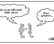 Cannibalisme oculaire