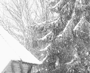 Première neige sur la Suisse normande ...