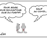 Année 2022 positive mais pas à tout