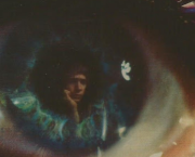 Hommage musical : Notre-Dame en chansons à travers l’histoire