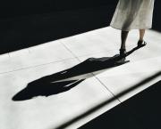 L’Ombre et la proie