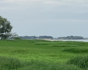 Catway 47 - Lac de la forêt d’Orient – Septembre