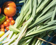 Le petit potager et les autres