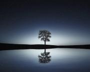 Le lac de mon miroir