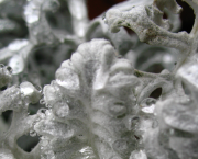 #LinkTober2025 : Vacant