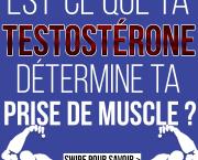 Est-ce que ta testostérone détermine ta prise de muscle ?