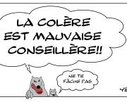 Ne nous fâchons pas...