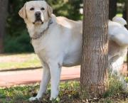 Deux cent mots pour entrer dans la postérité