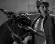 Au hasard Balthazar (Robert Bresson, 1966)