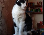 J'ai creusé un trou dans le jardin.