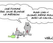 Le rat qui consommait trop de pommes