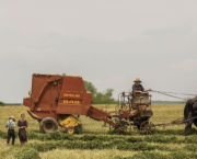 La transition sociétale préalable à la transition écologique