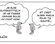 Ne jamais passer sous un chat noir