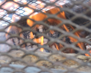 Bon réveillon & Joyeux Noël !