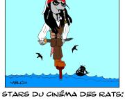 stars du cinéma des rats : JACK SPARROW des pirates des CARAÏBES