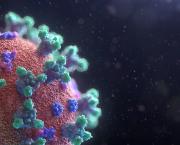 Je m'appelle " CORONAVIRUS "
