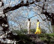 Dolls (Takeshi Kitano, 2002)