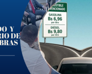 El imperio de las sombras: fortuna, combustibles y poder global en la caída de Cerimedo