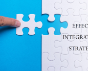 Strategies for Effective Integration