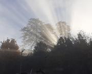 La poésie, ça n'existe pas. Nan mais.