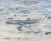 Eating with sharks (Manger avec les requins)