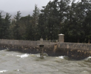 Chapitre 29 - Au bord du lac