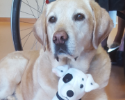 Message de Haloha : Sagesse et ancrage