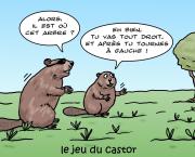 le jeu du castor