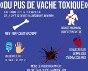 Le lait n'est pas "du pus de vache toxique"