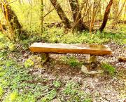 Contemplation sur le banc