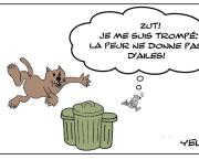 Peur sans ailes