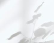 Rêve