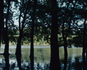 Ogre (2022) Arnaud Malherbe