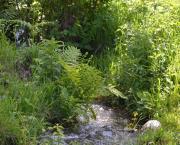 A propos de la Nature