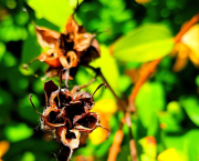 Chapitre 5 : Le palais de l'esprit du dragon rouge