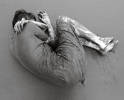 Folie