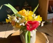 Votre bouquet du Dimanche 27 Mars