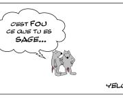 La folie de la sagesse