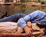 La Flèche brisée (Broken Arrow, Delmer Daves, 1950)