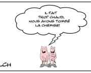 Dépoilant
