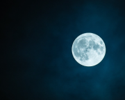 Épisode 22 - Tel père tel fils