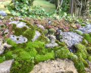 La blanche joie d'être