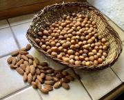 Le jardin du 21 Août, avec Hildegarde